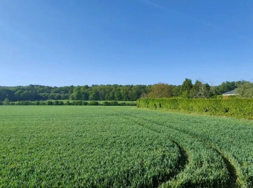 Terrain à bâtir 681 m² à Saint-Guyomard (56460)