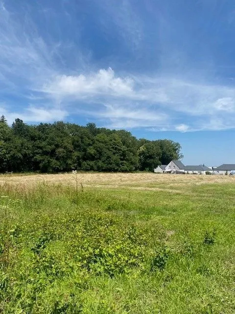 Terrain à bâtir 362 m² à Monterblanc (56250)