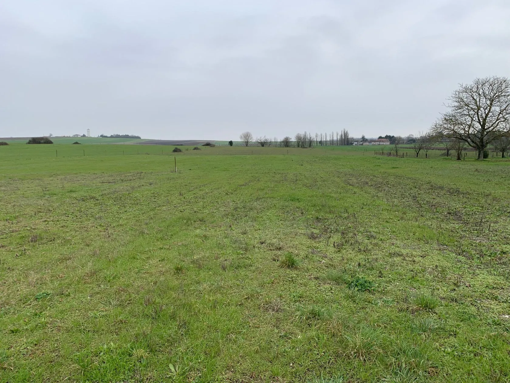 Maison neuve 70 m² à Berneuil (17460)