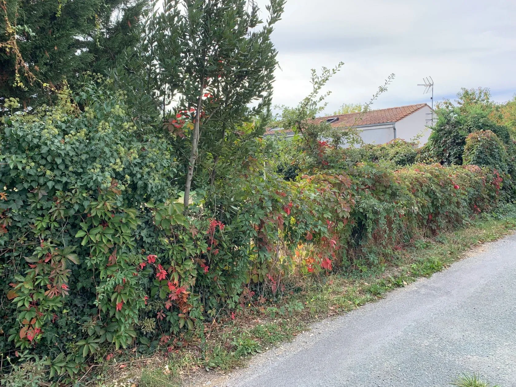 Maison neuve 81 m² à Chaniers (17610)