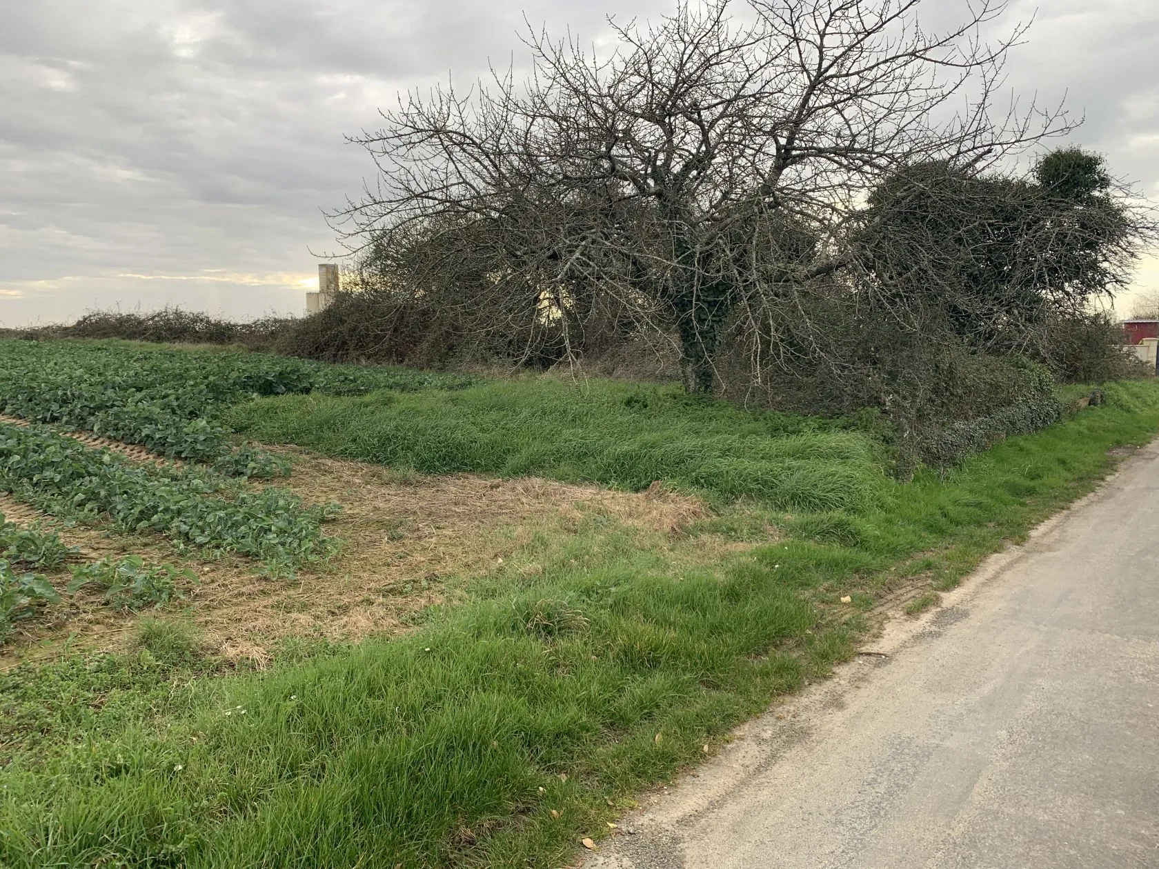 Maison neuve 90 m² à Plassay (17250)