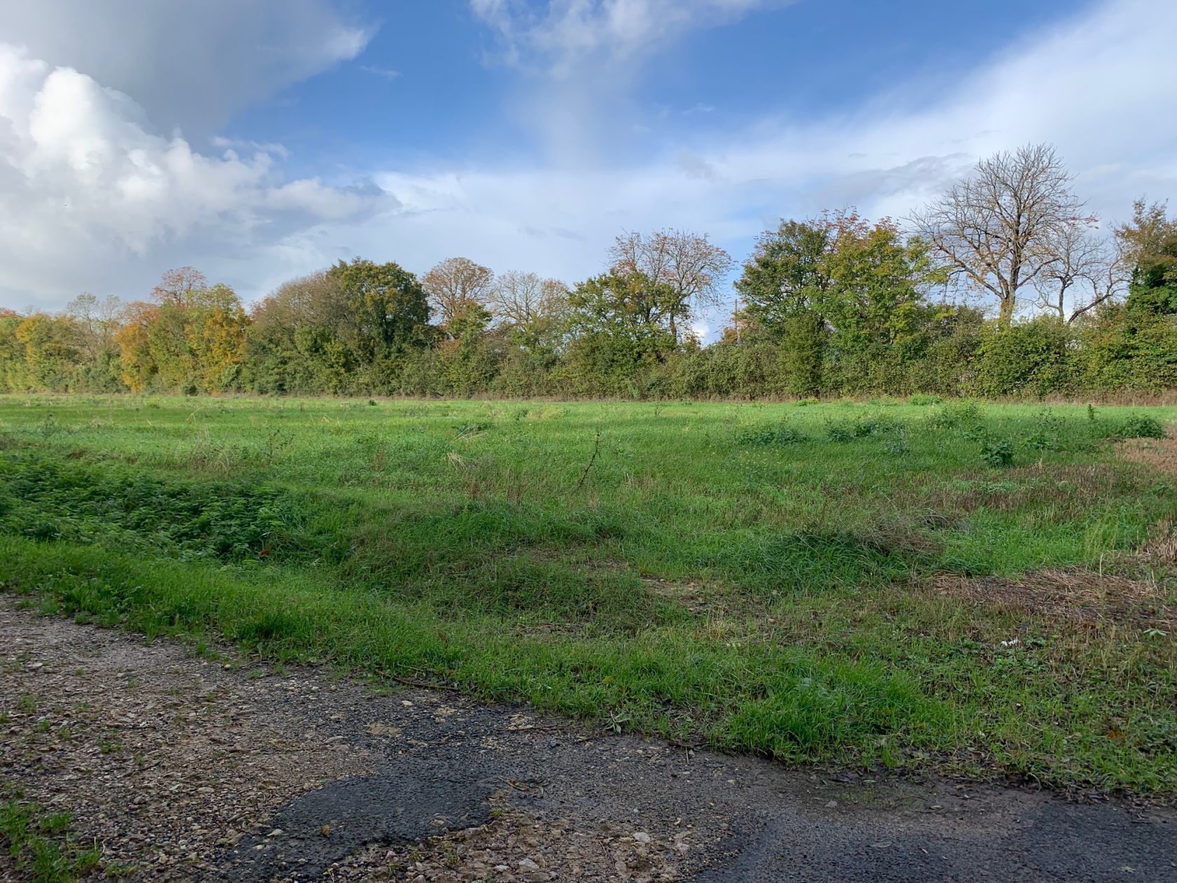 Maison neuve 80 m² à Surgères (17700)