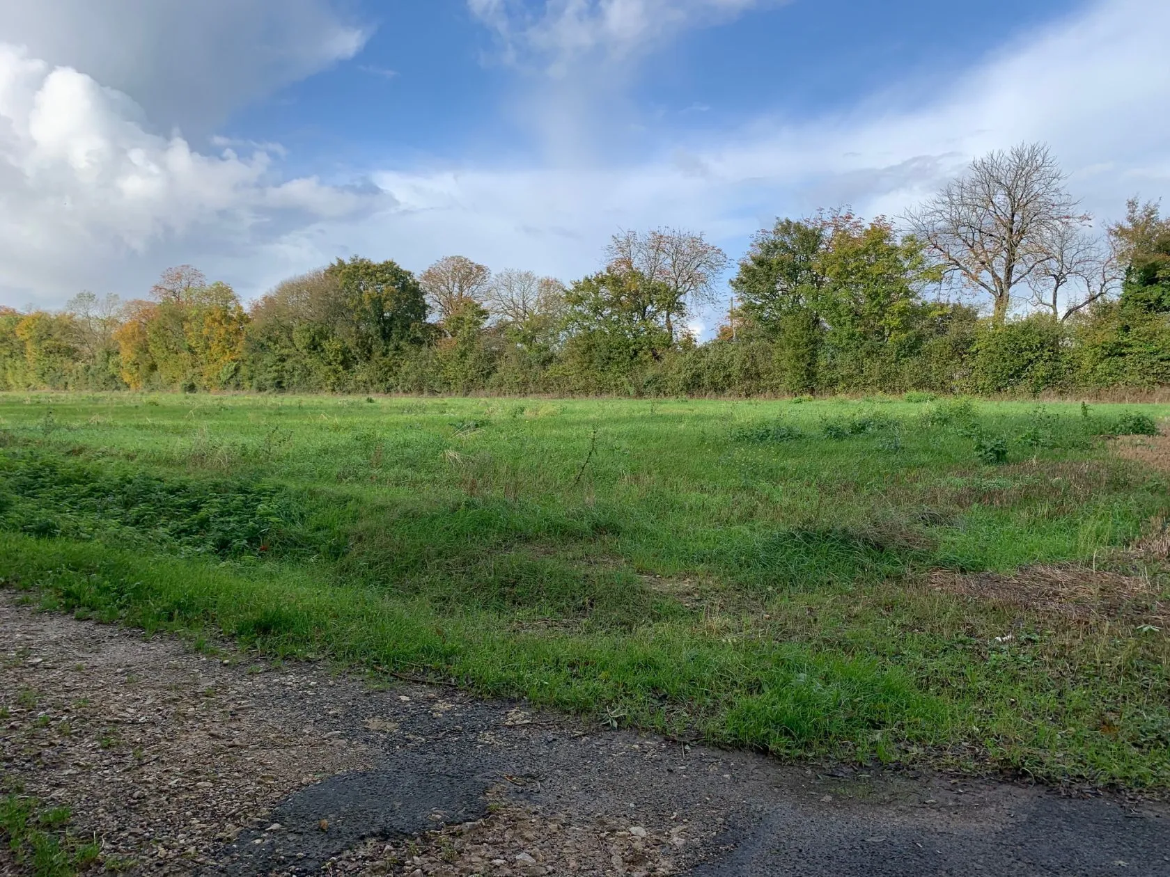 Maison neuve 81 m² à Surgères (17700)