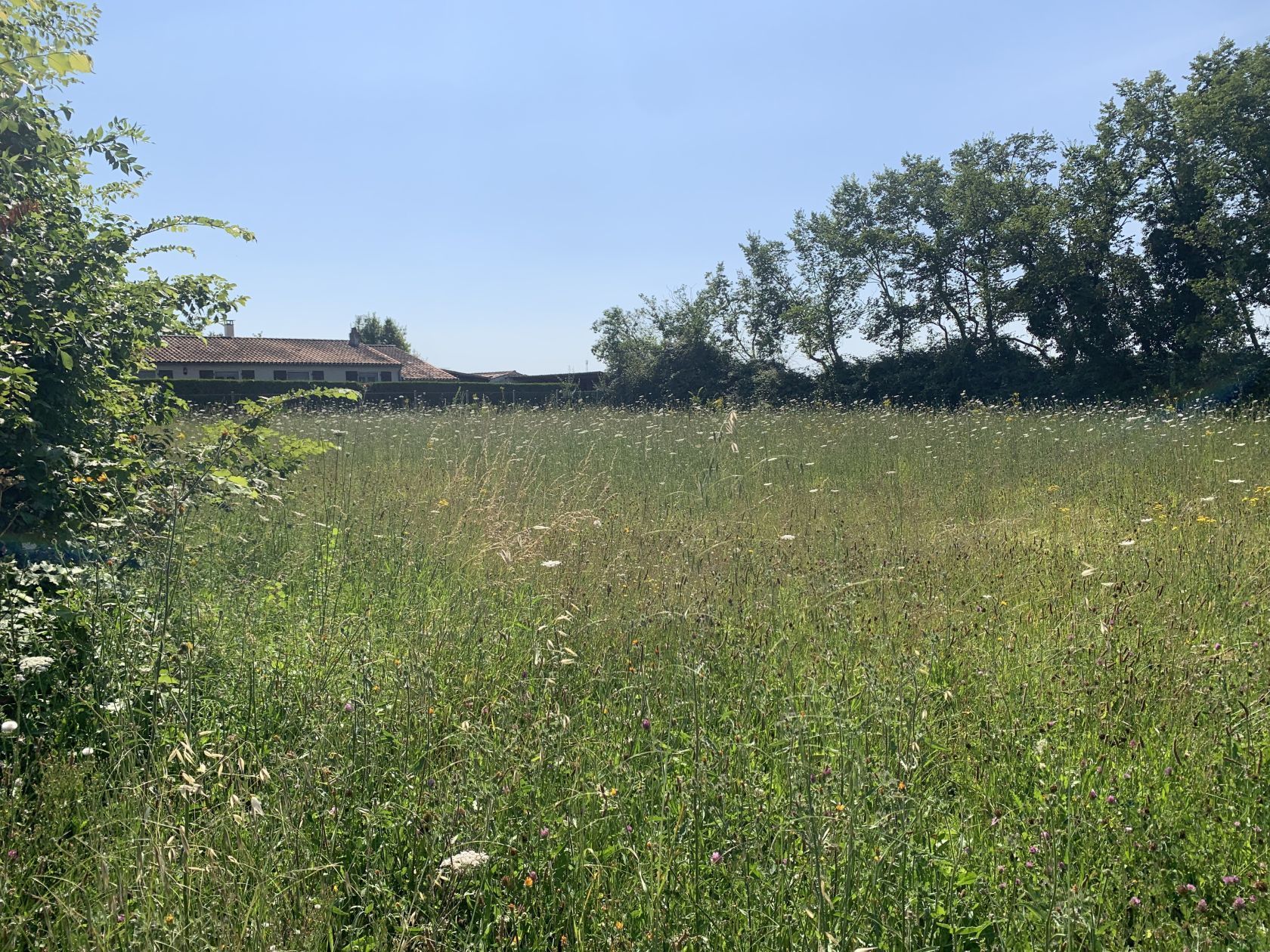 Terrain à bâtir 833 m² à Écoyeux (17770)