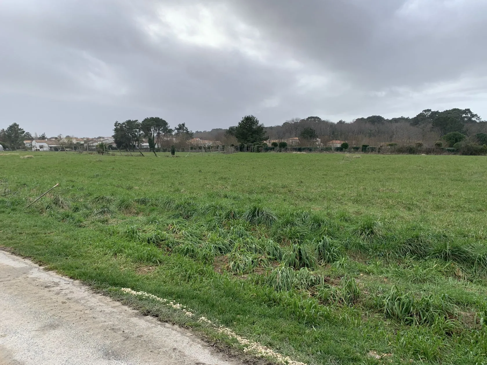 Terrain à bâtir 590 m² à Saint-Palais-sur-Mer (17420)