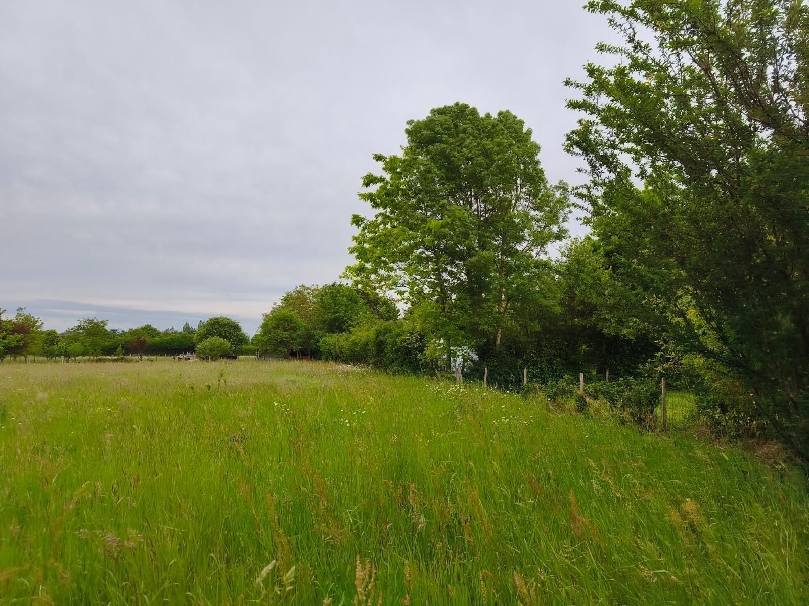 Maison neuve 94 m² au Louroux-Béconnais (49370)