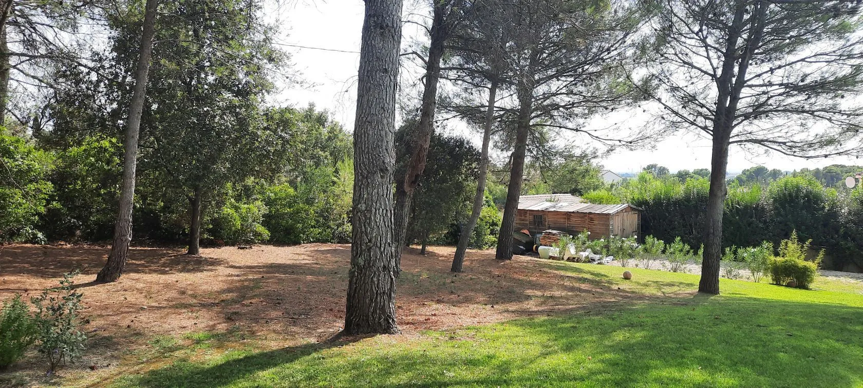 Terrain à bâtir 1572 m² à Carpentras (84200)