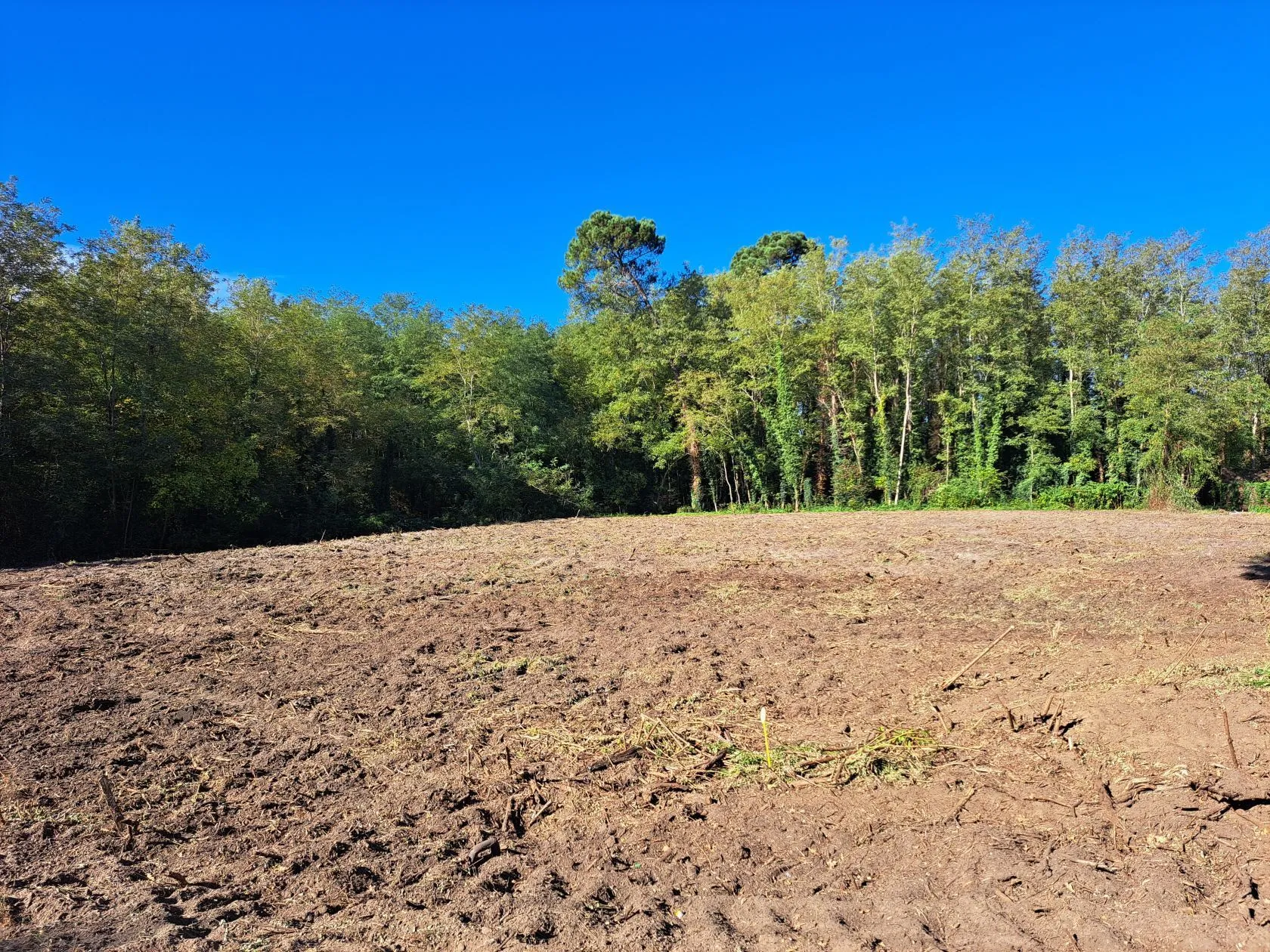 Maison neuve 111 m² à Roquefort (40120)