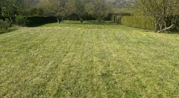 Terrain à bâtir 1689 m² à Dormans (51700)