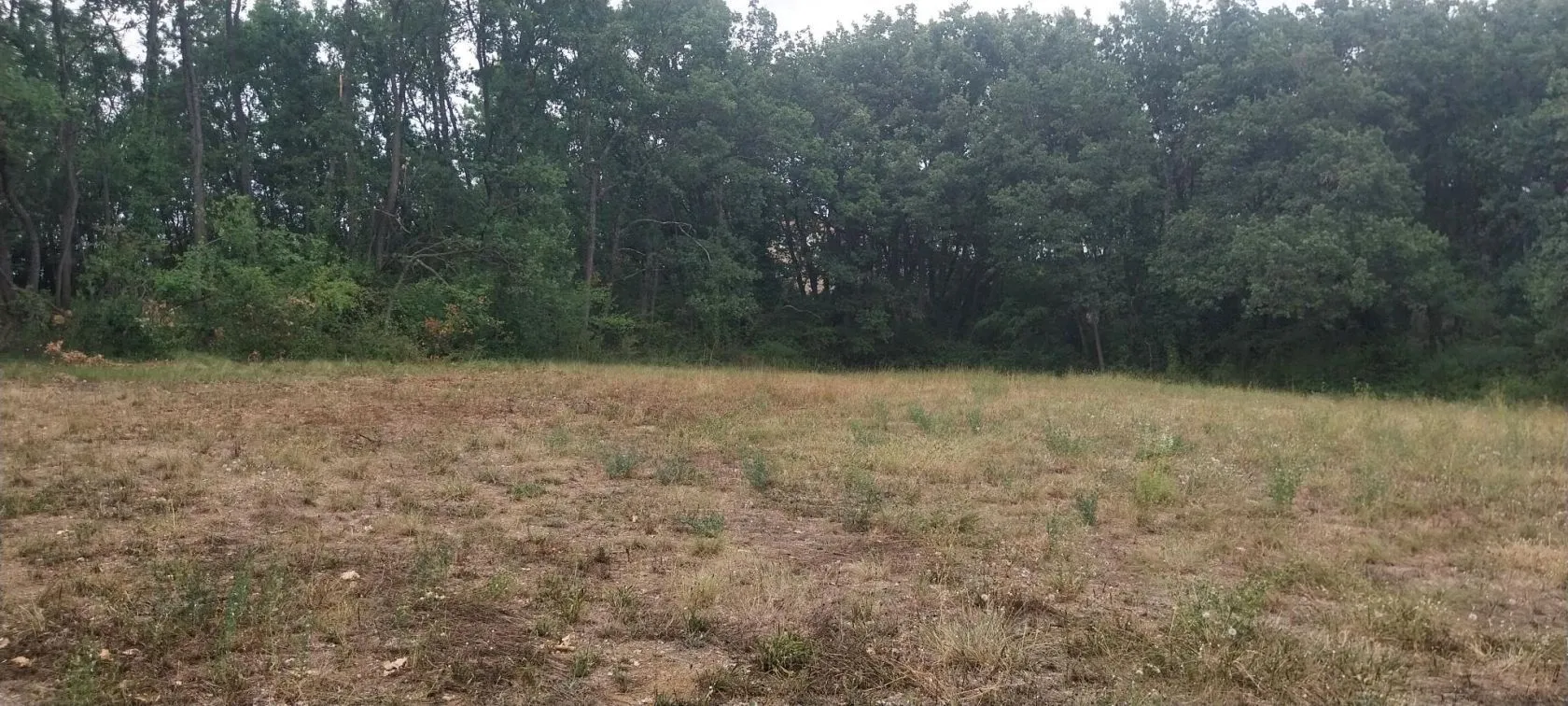 Maison neuve 67 m² à Mallemoisson (04510)