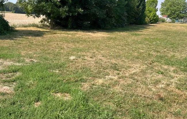Maison neuve 83 m² à Val-de-Vesle (51360)