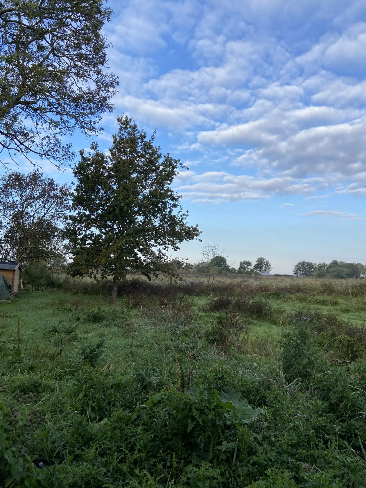 Maison neuve 90 m² à Saint-Joachim (44720)