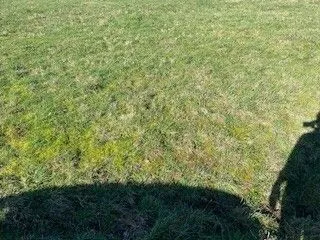 Terrain à bâtir 340 m² à Vannes (56000)