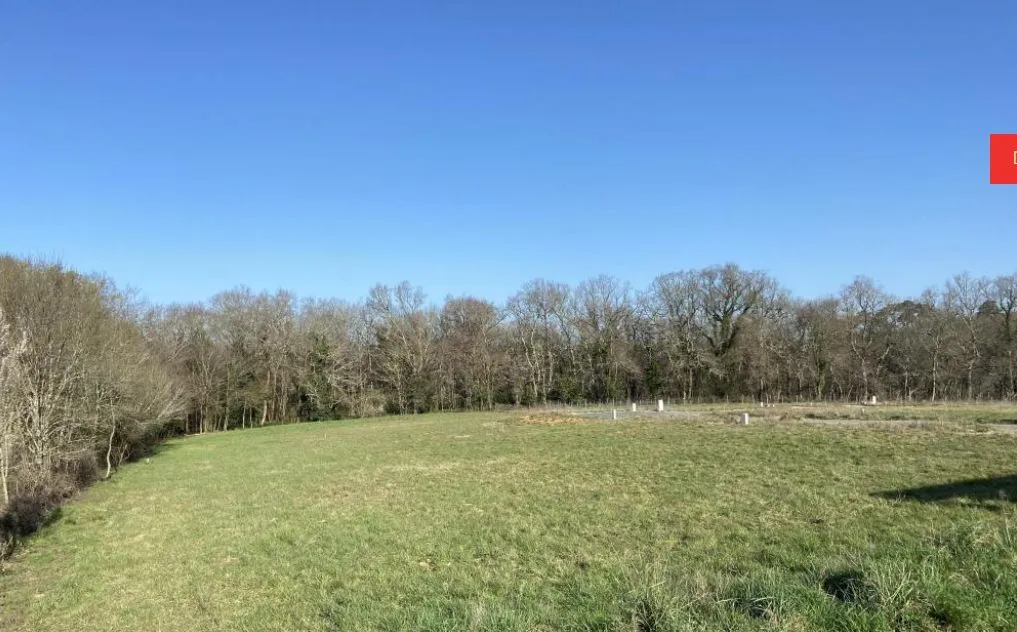 Maison neuve 140 m² à Bouliac (33270)