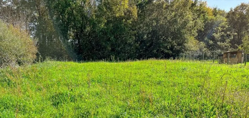 Terrain à bâtir 500 m² à Bouaye (44830)