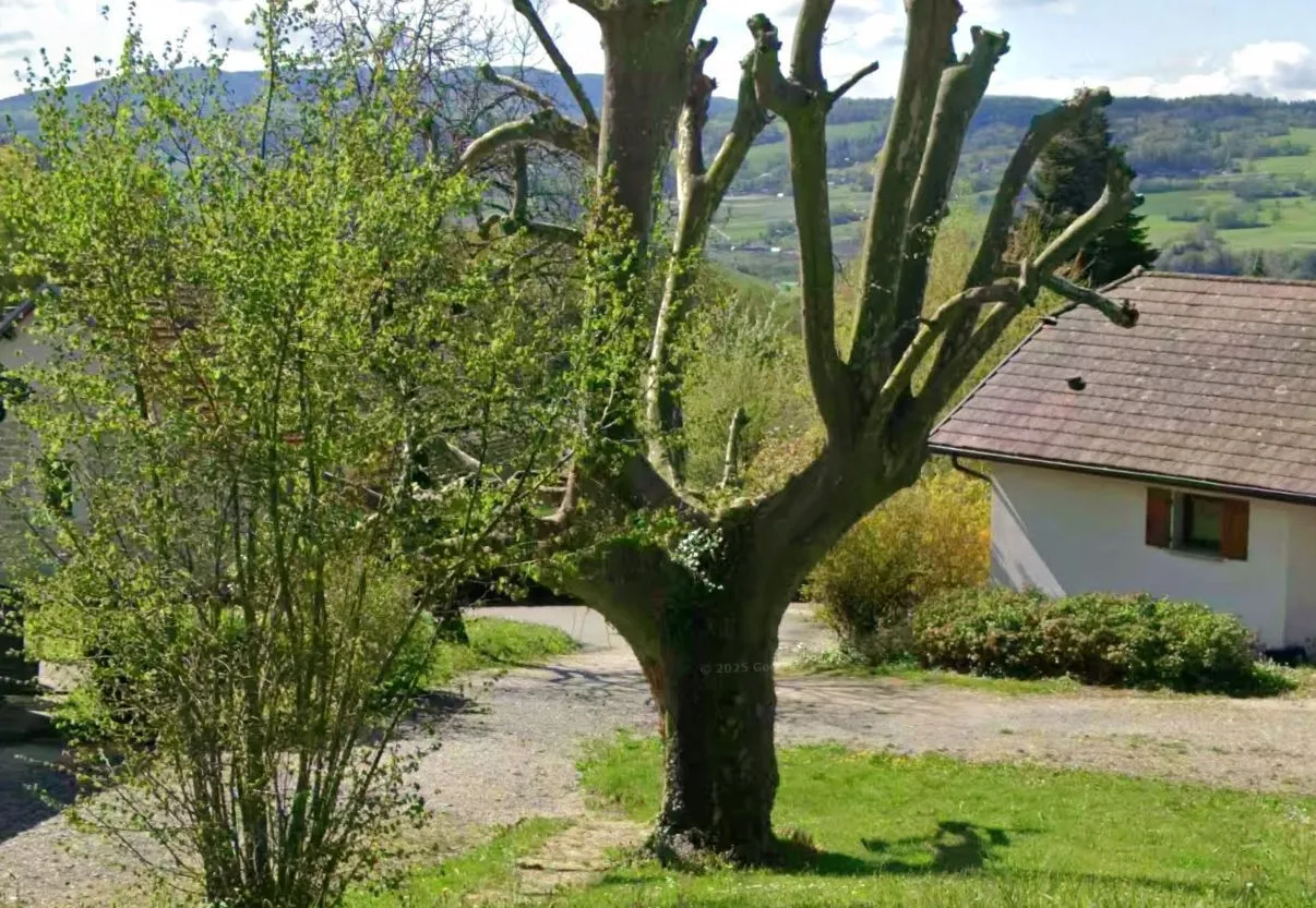 Maison neuve 109 m² à Andilly (74350)