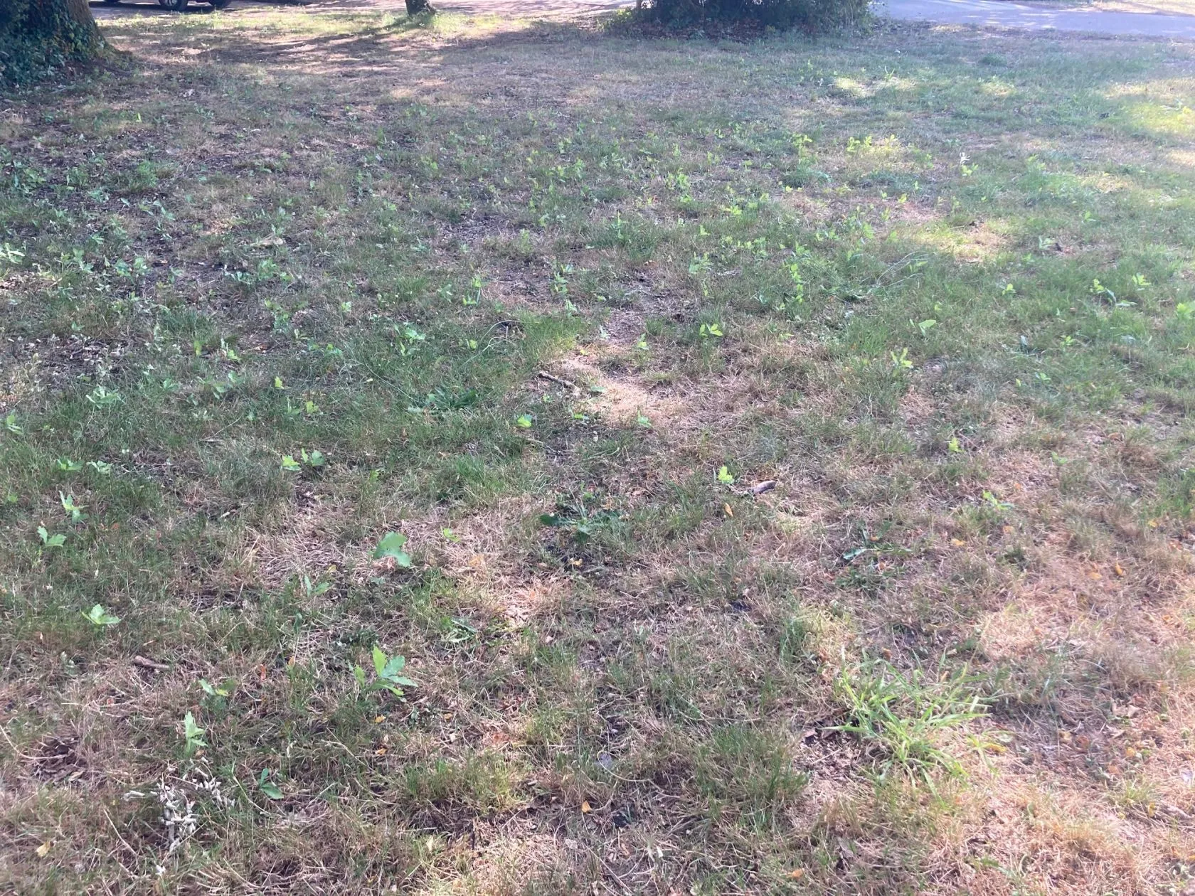 Maison neuve 100 m² à Salles (33770)