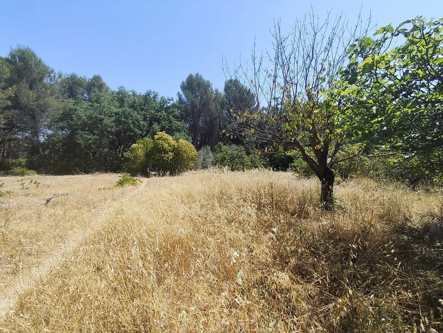 Terrain à bâtir 2000 m² à Éguilles (13510)