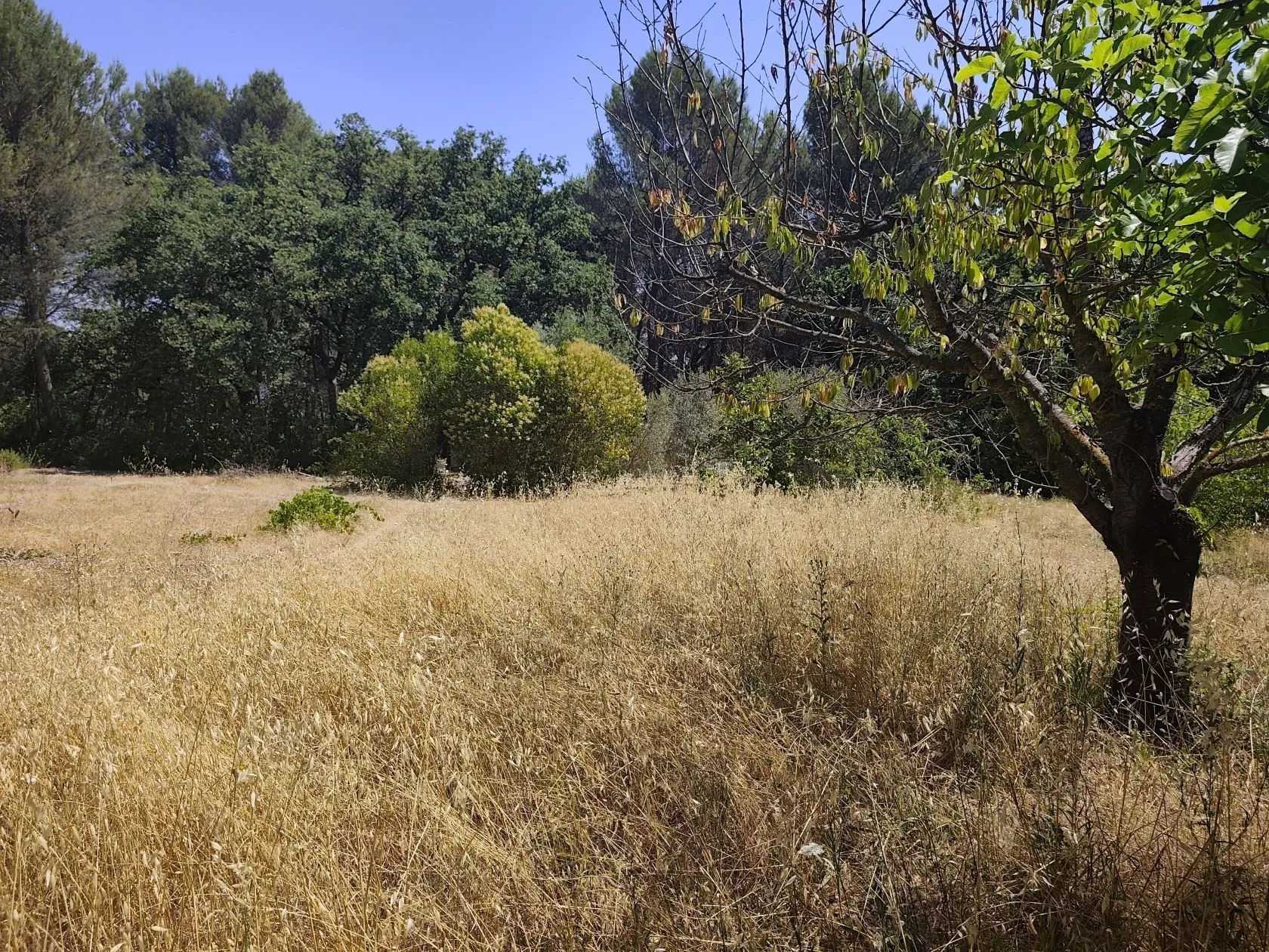 Terrain à bâtir 2000 m² à Éguilles (13510)