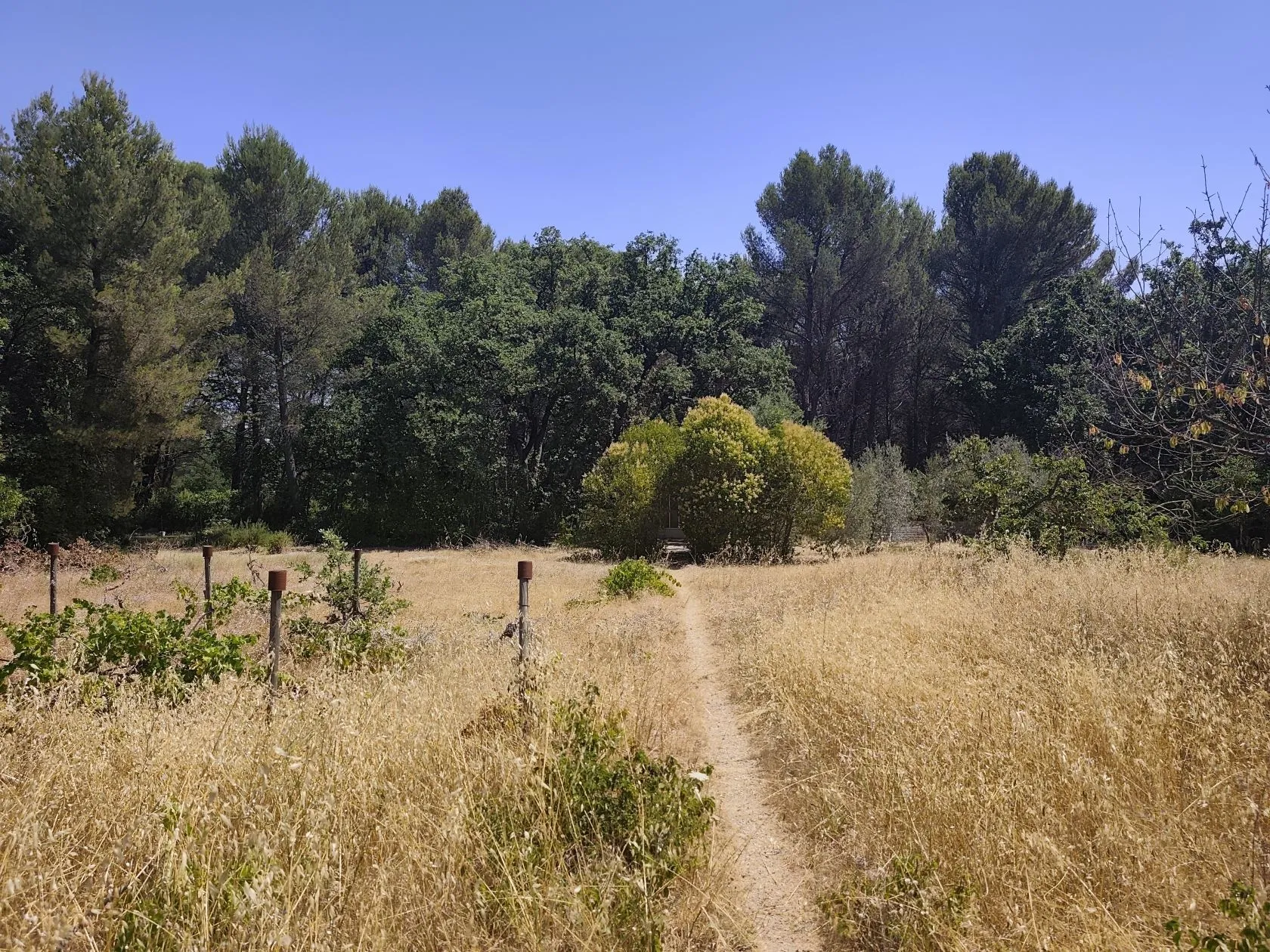 Terrain à bâtir 2000 m² à Éguilles (13510)
