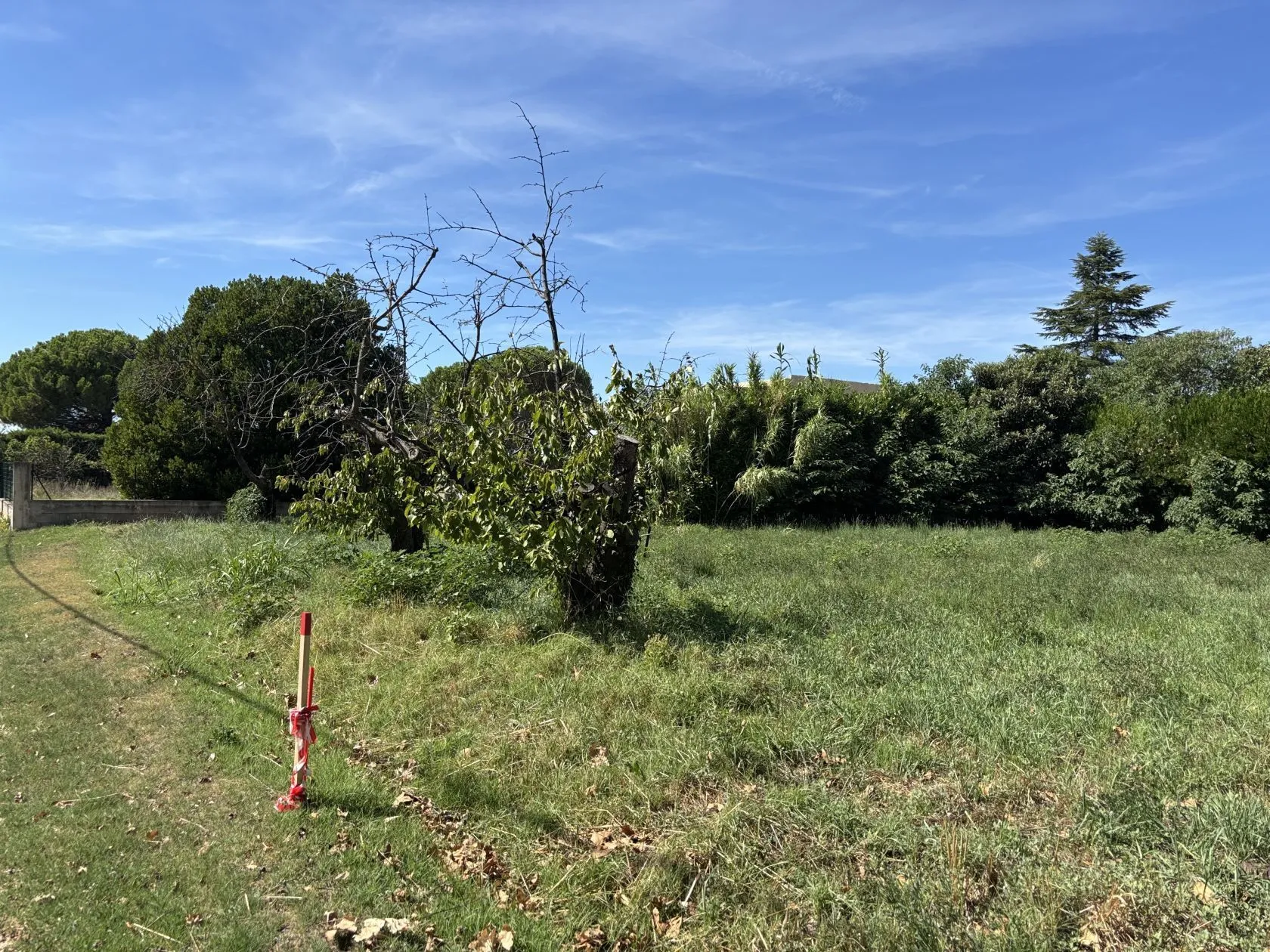 Maison neuve 90 m² à Mallemort (13370)