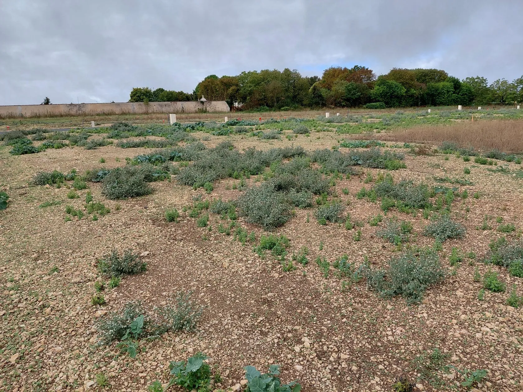 Maison neuve 107 m² à Tonnay-Boutonne (17380)