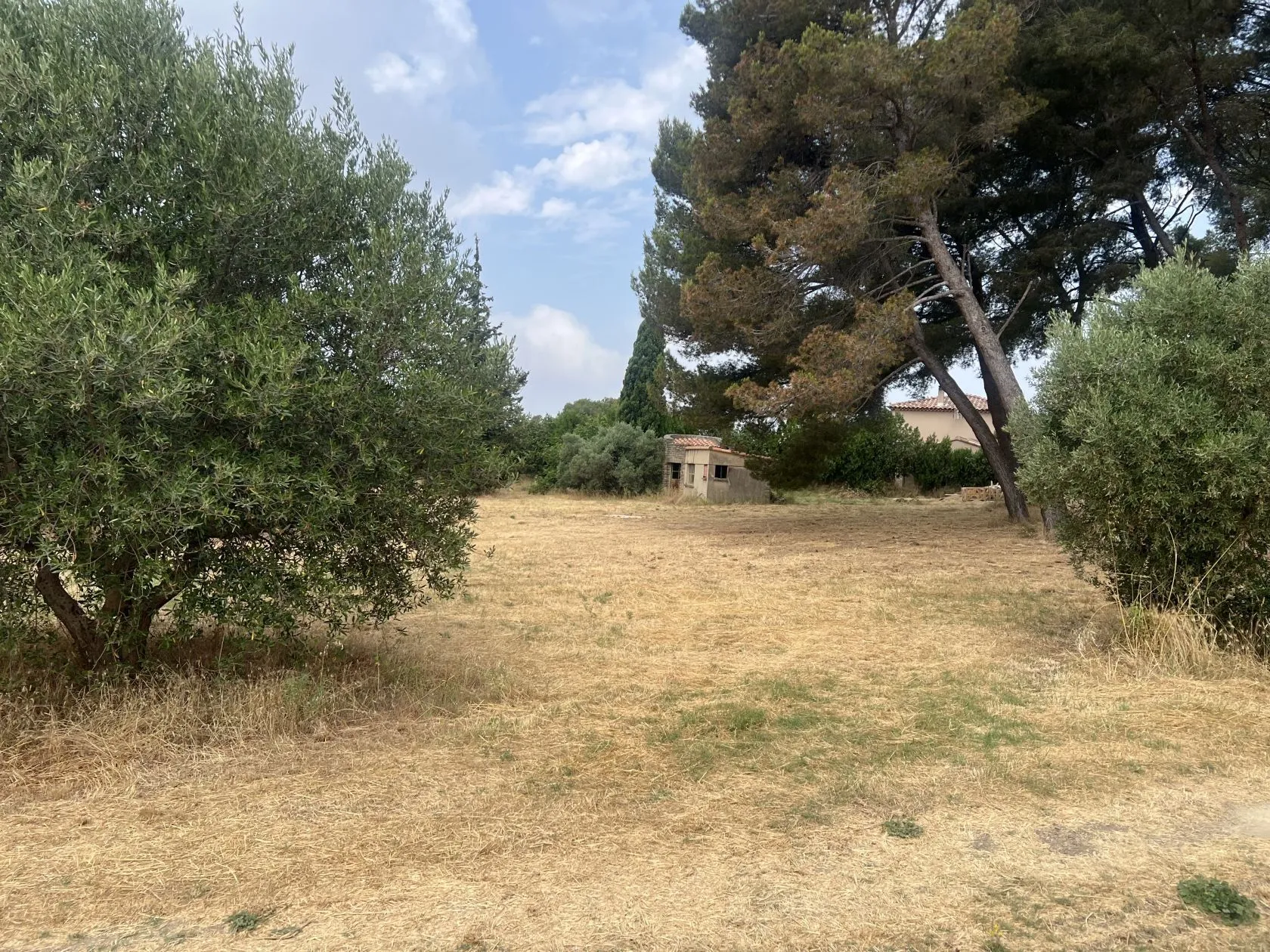 Maison neuve 95 m² à Saint-Chamas (13250)