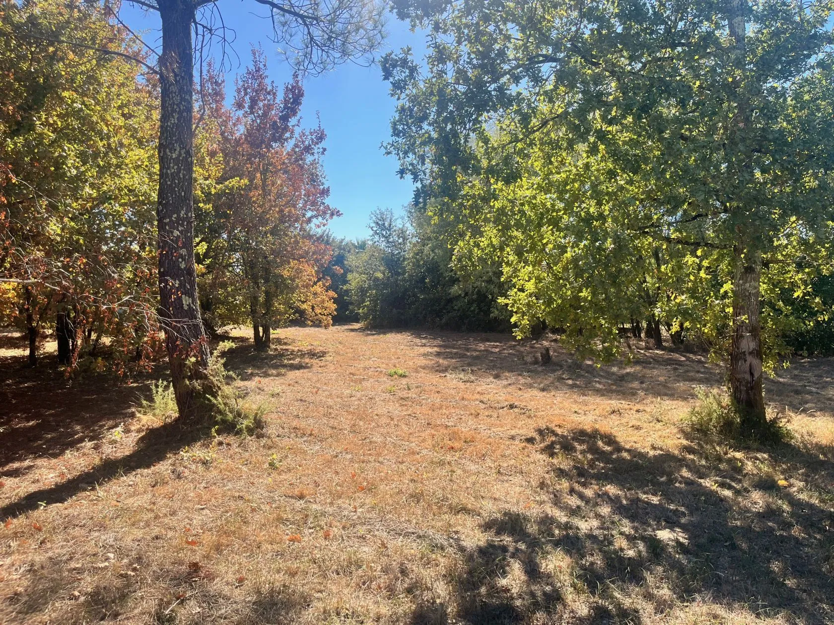 Maison neuve 110 m² à Gujan-Mestras (33470)