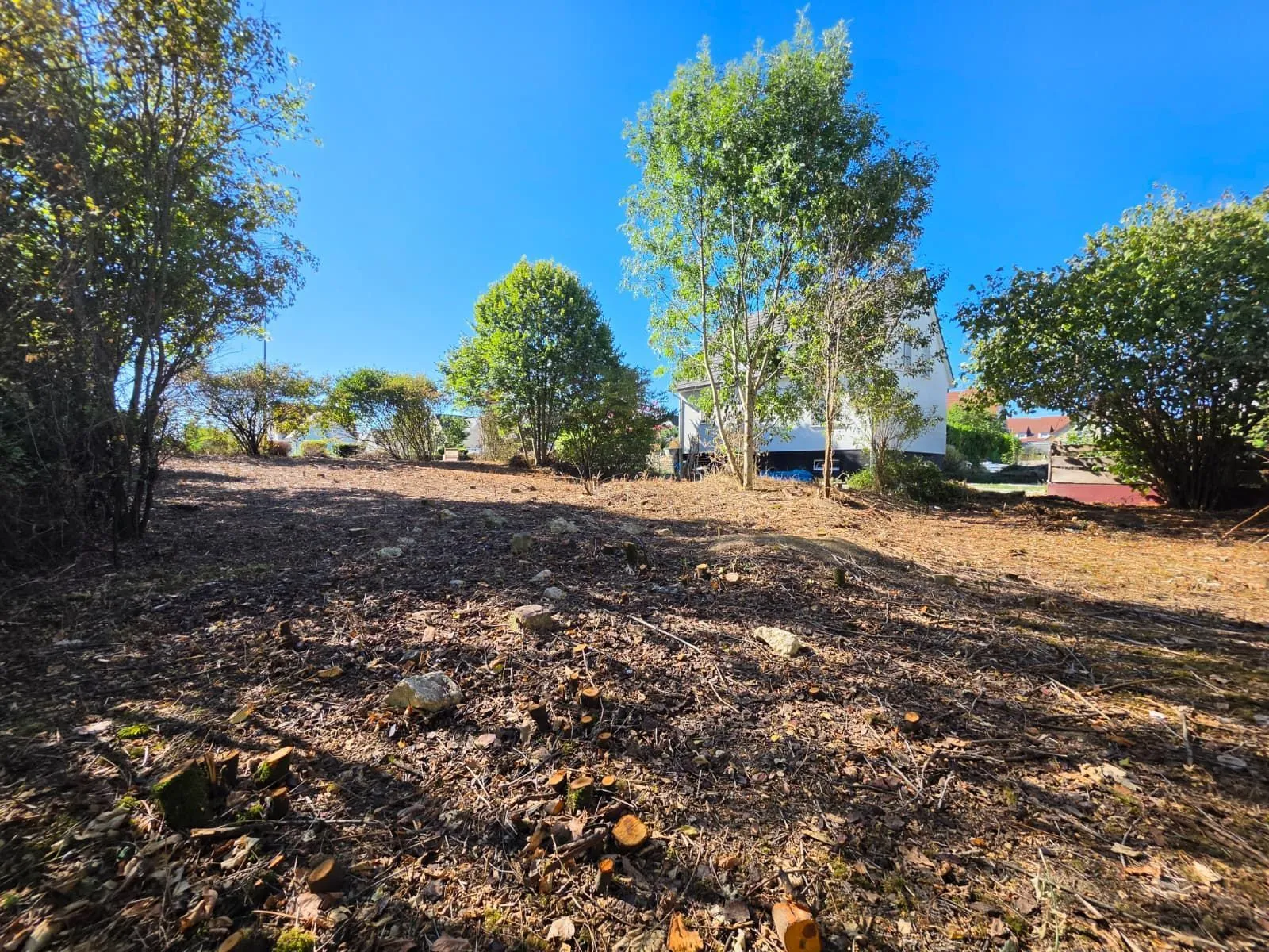 Maison neuve 125 m² à Blotzheim (68730)