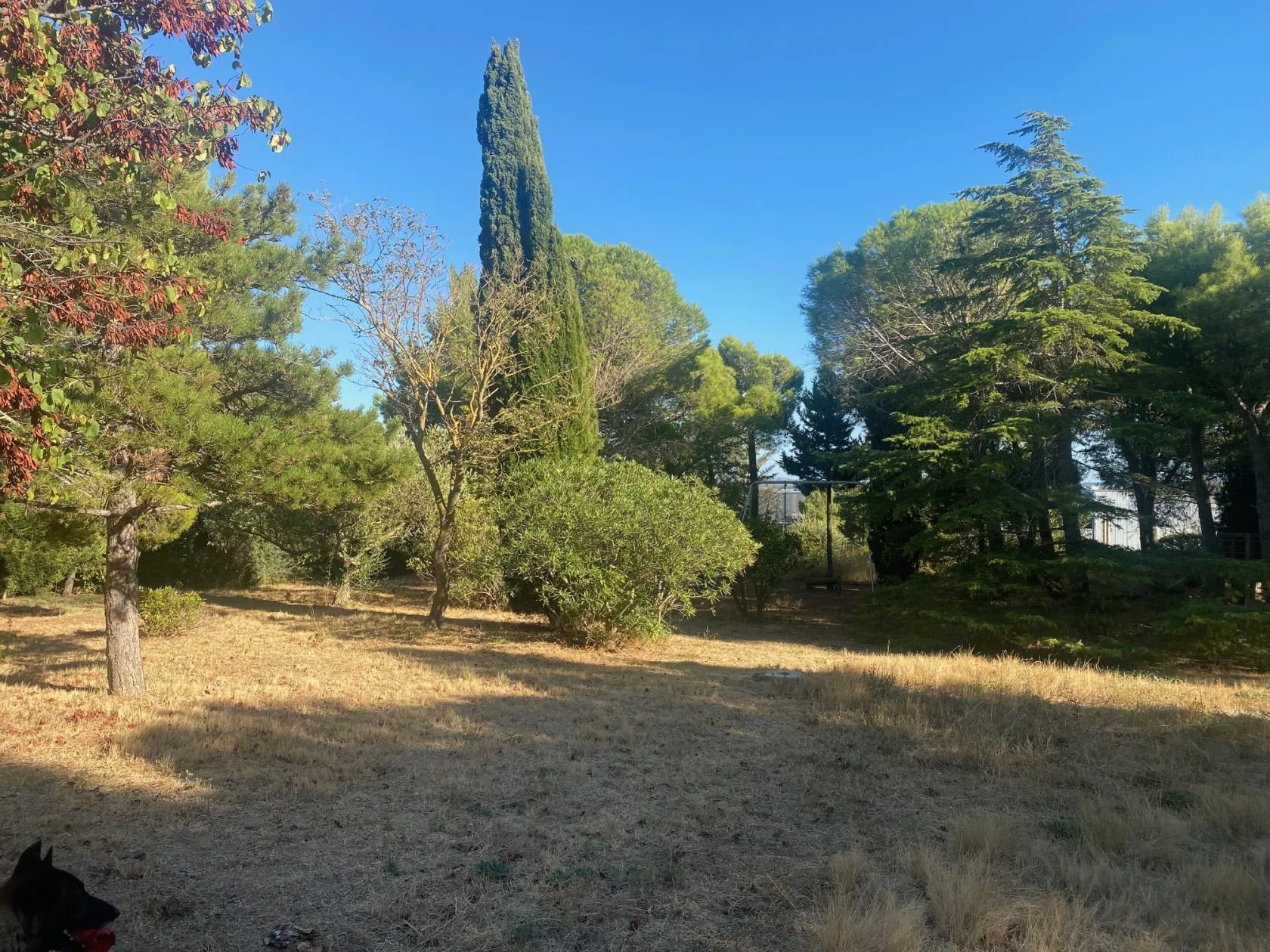 Maison neuve 180 m² à Narbonne (11100)