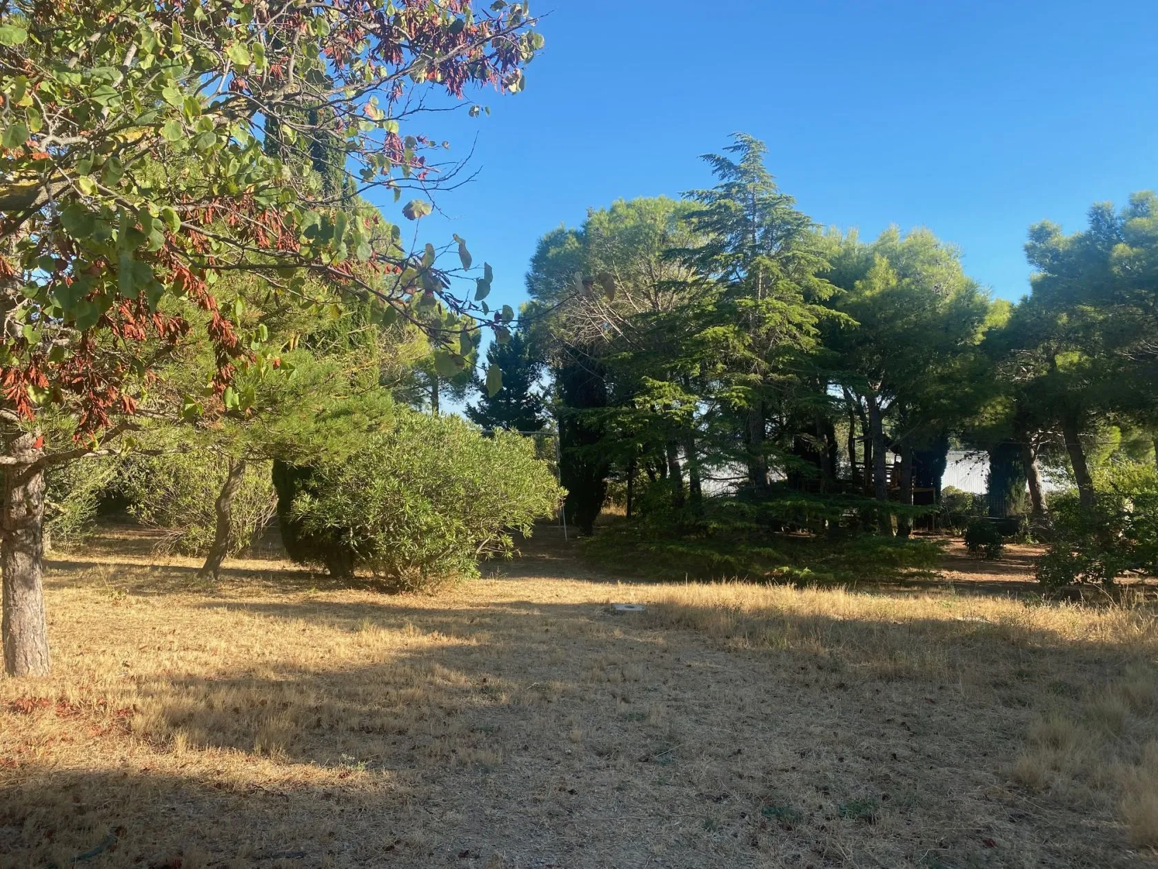 Maison neuve 180 m² à Narbonne (11100)