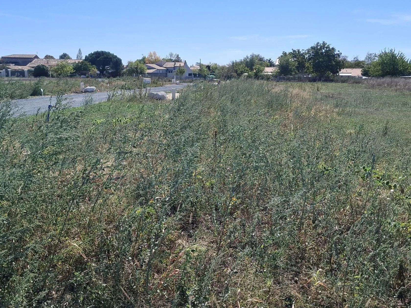 Maison neuve 85 m² à Nieulle-sur-Seudre (17600)