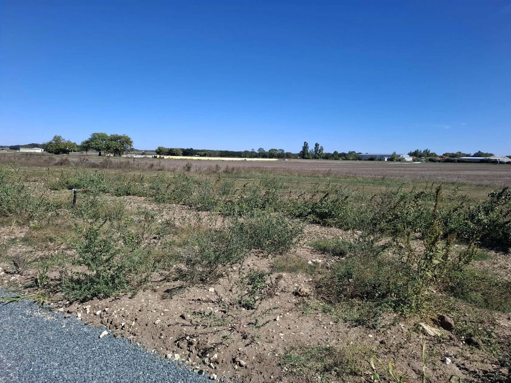 Maison neuve 90 m² à Nieulle-sur-Seudre (17600)