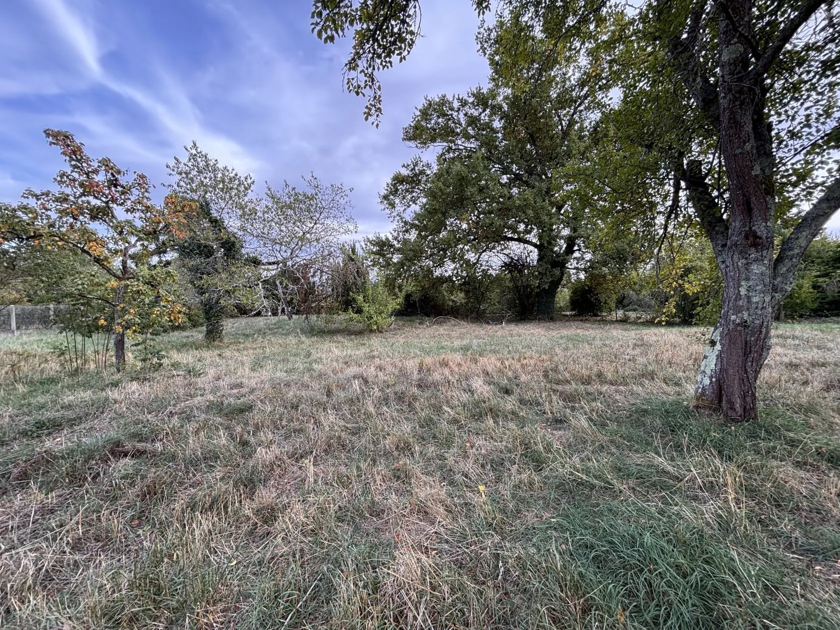 Terrain à bâtir 1583 m² à Bellerive-sur-Allier (03700)