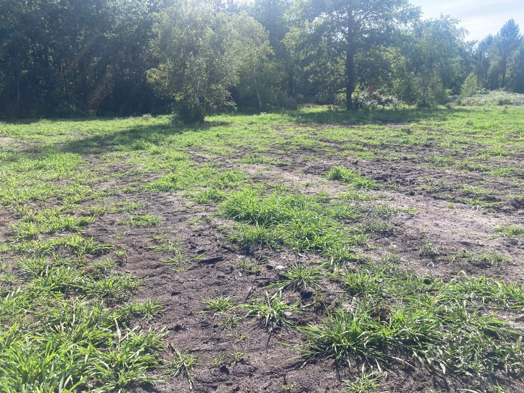 Terrain à bâtir 830 m² à Salles (33770)