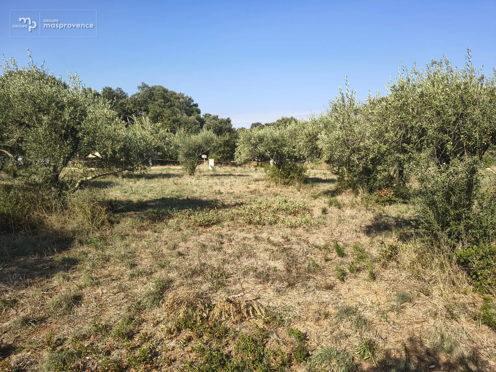 Terrain à bâtir 1764 m² à Saint-Siffret (30700)