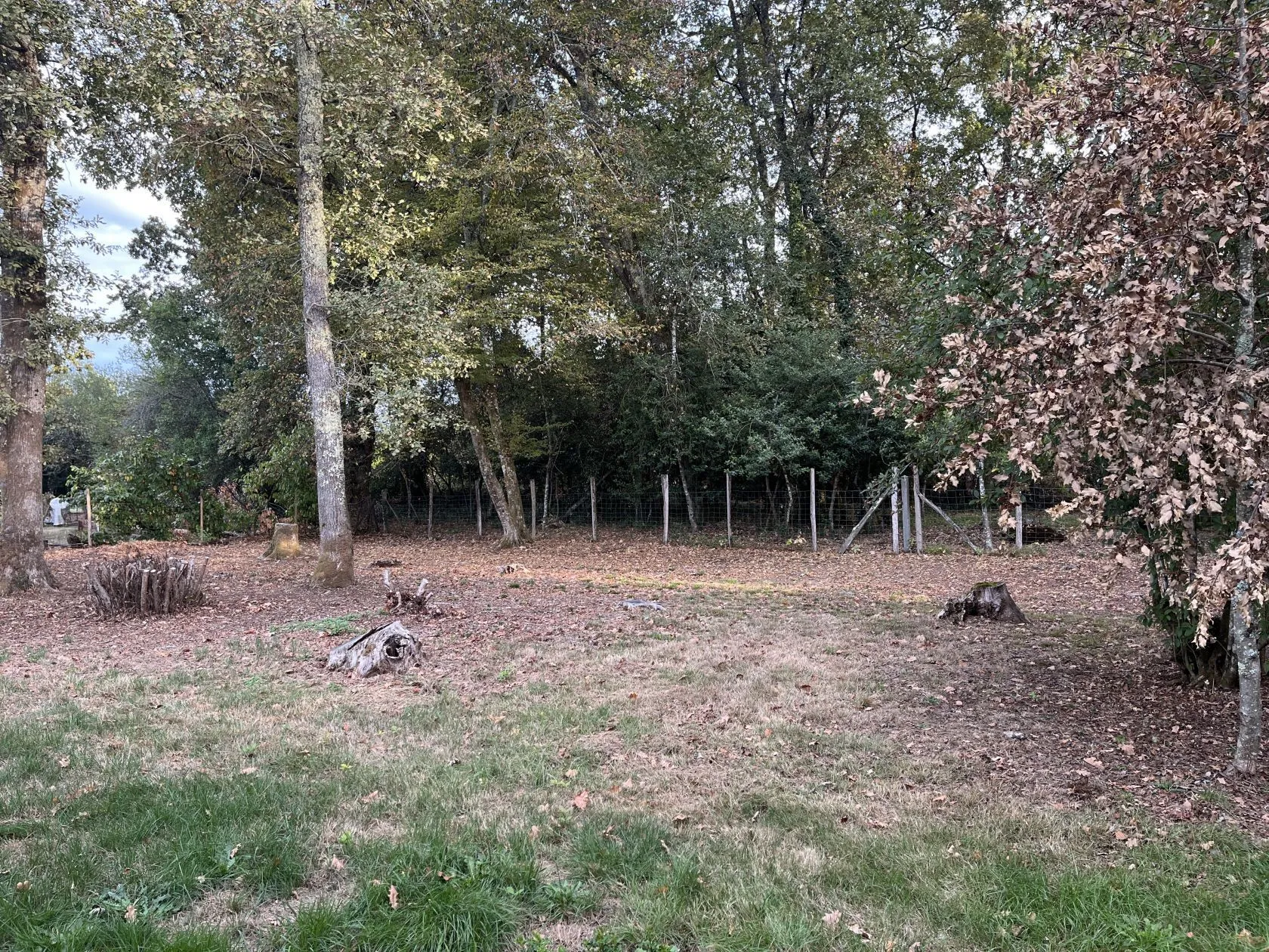 Maison neuve 75 m² à Canéjan (33610)