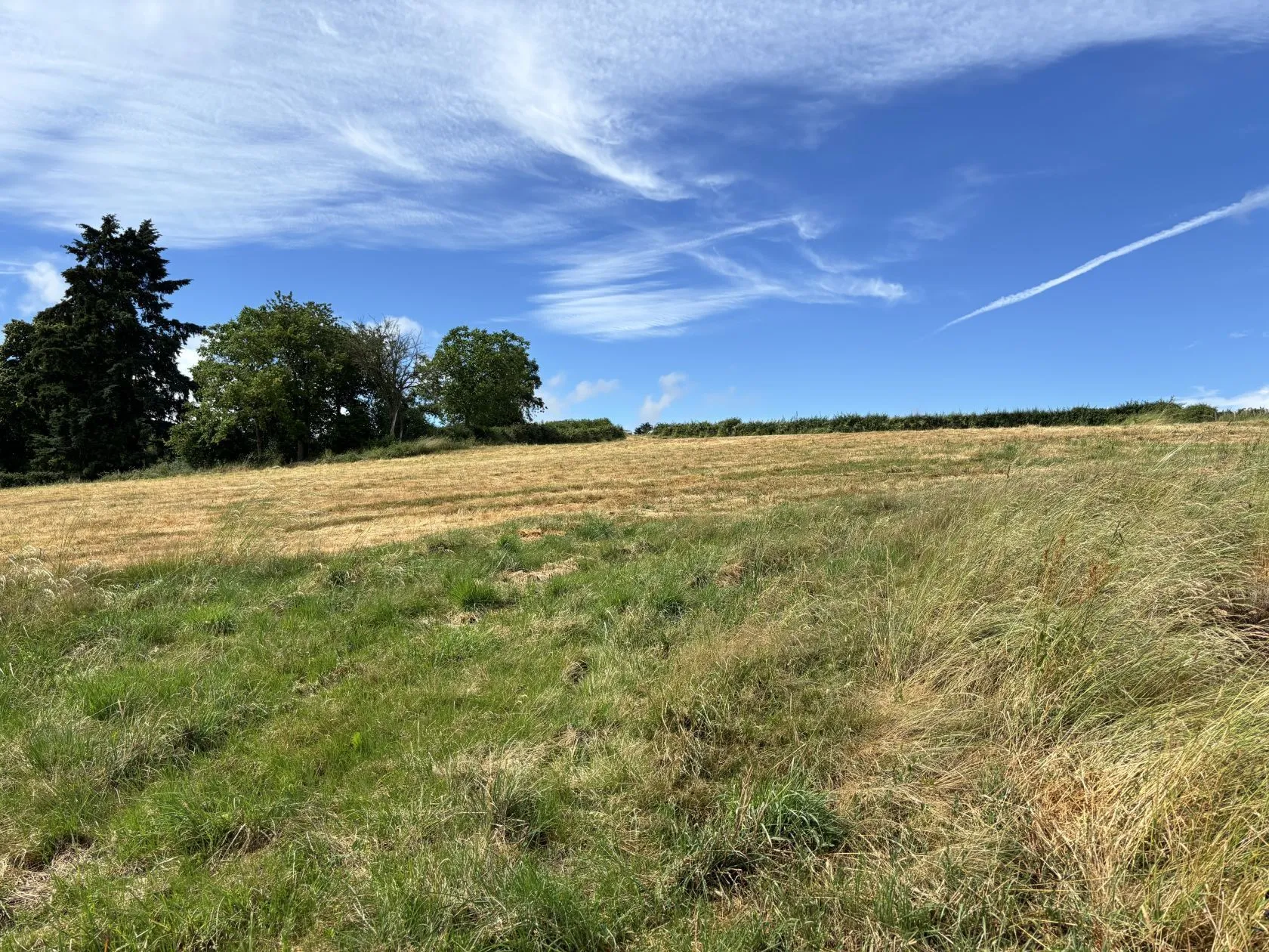 Maison neuve 99 m² à Matour (71520)