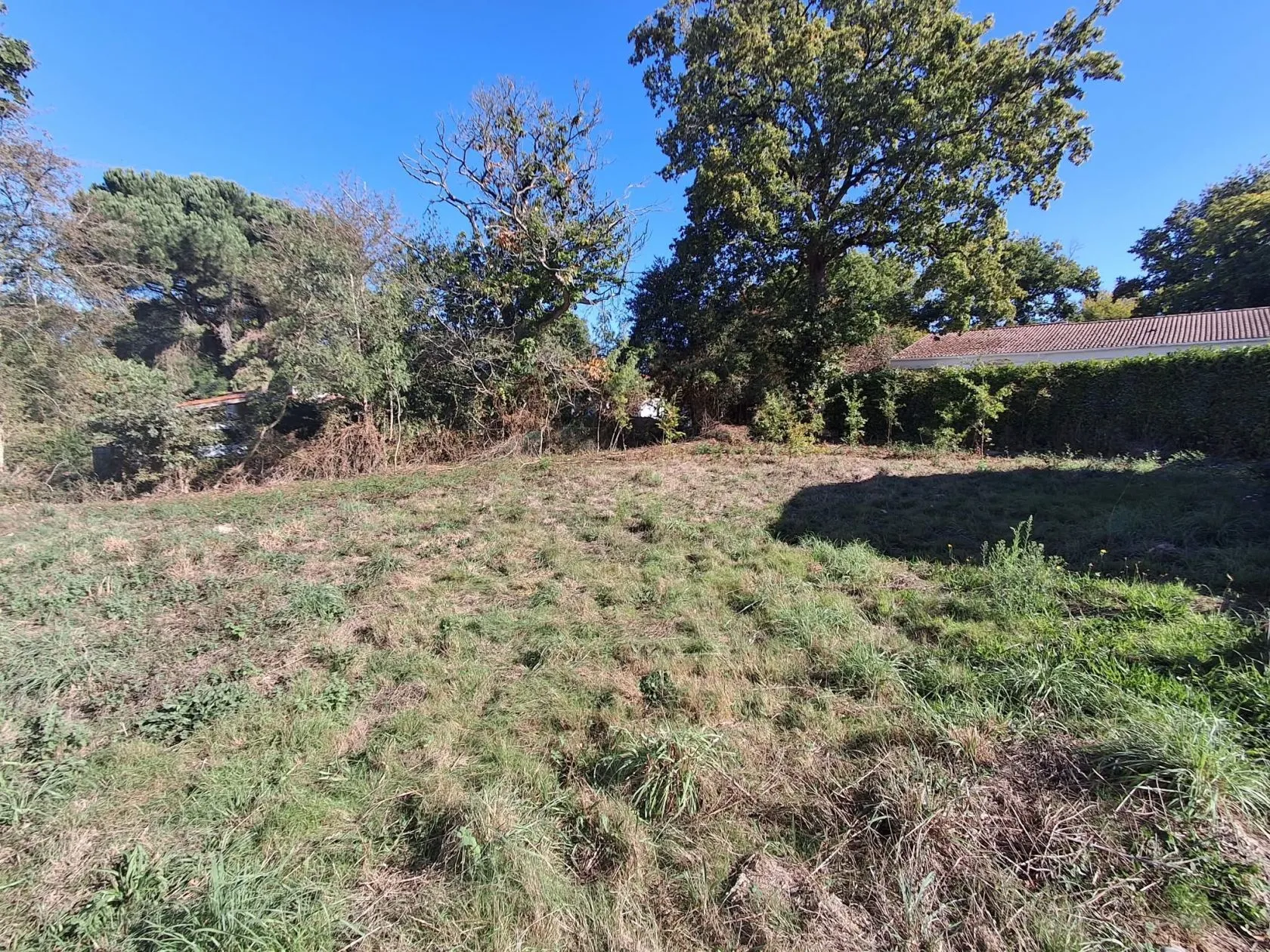 Maison neuve 85 m² à Martinet (85150)