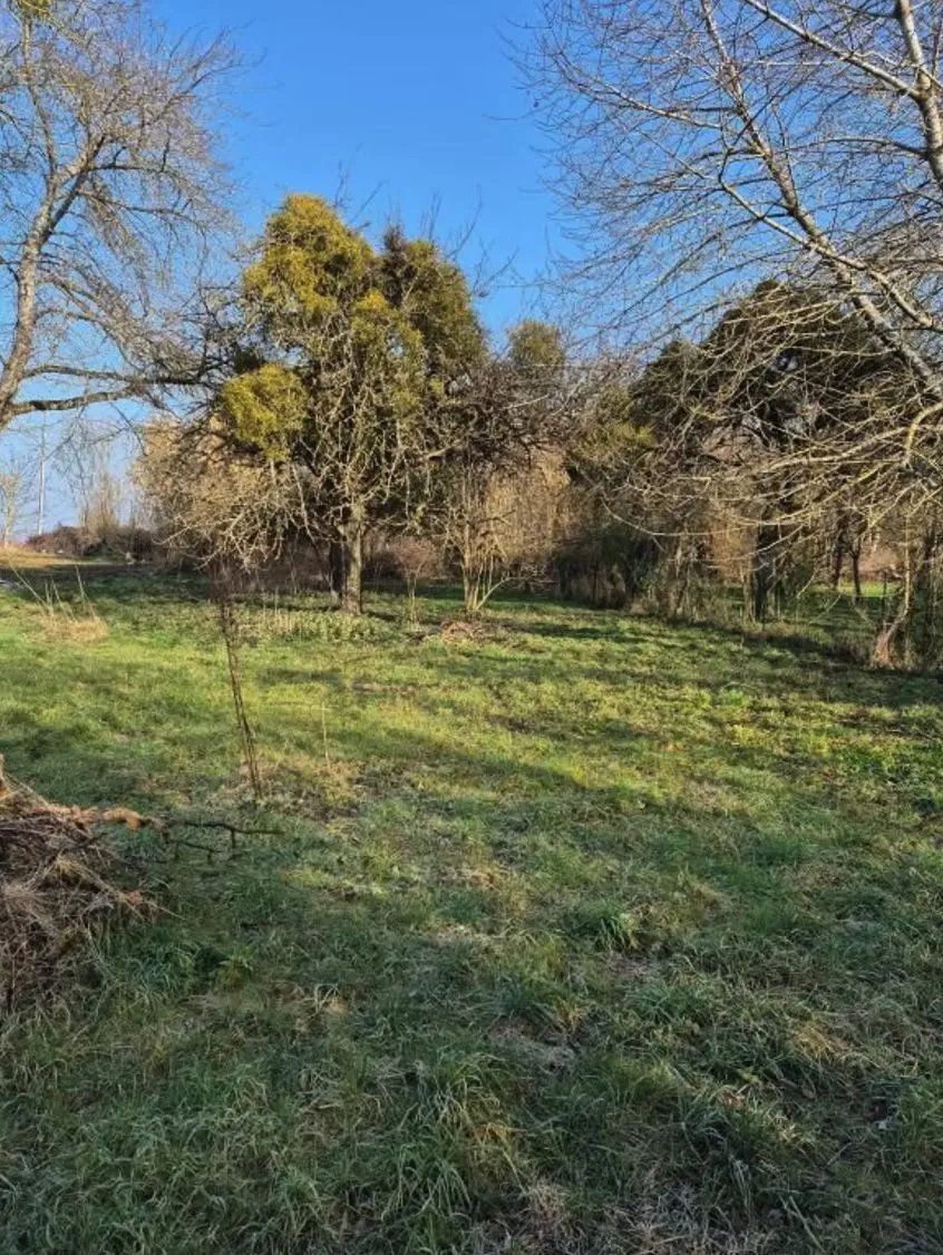 Maison neuve 125 m² à Rozay-en-Brie (77540)