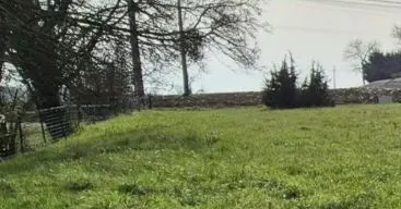 Maison neuve 110 m² à Pont-de-Vaux (01190)