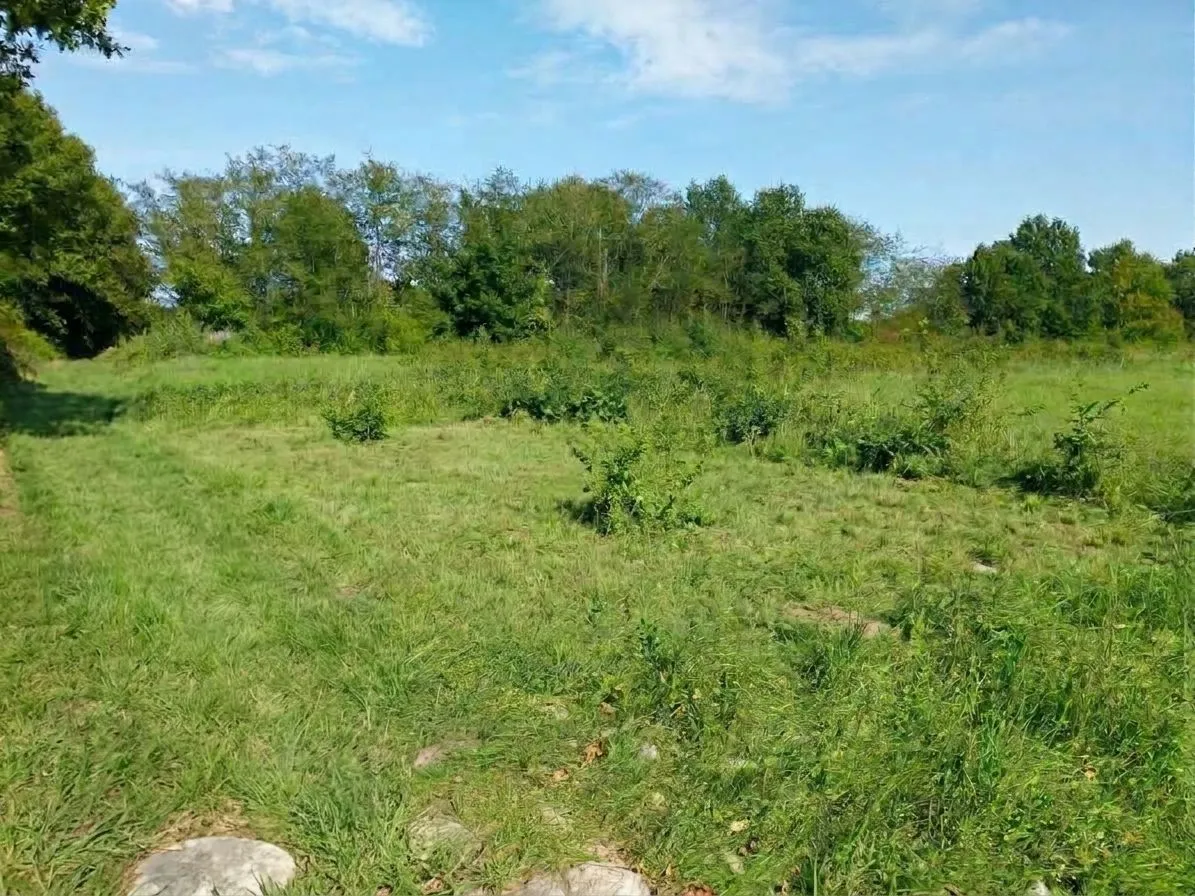 Terrain à bâtir 1069 m² à Saint-Étienne-de-Tulmont (82410)