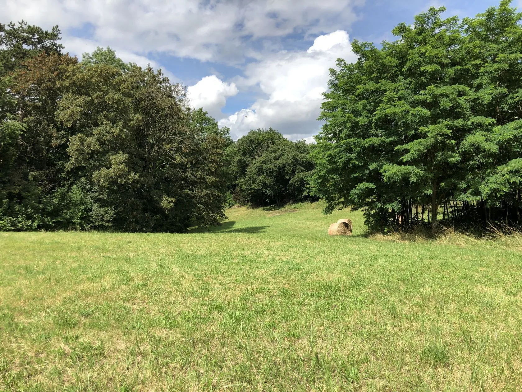 Terrain à bâtir 500 m² à Saint-Jean-de-Thurigneux (01390)