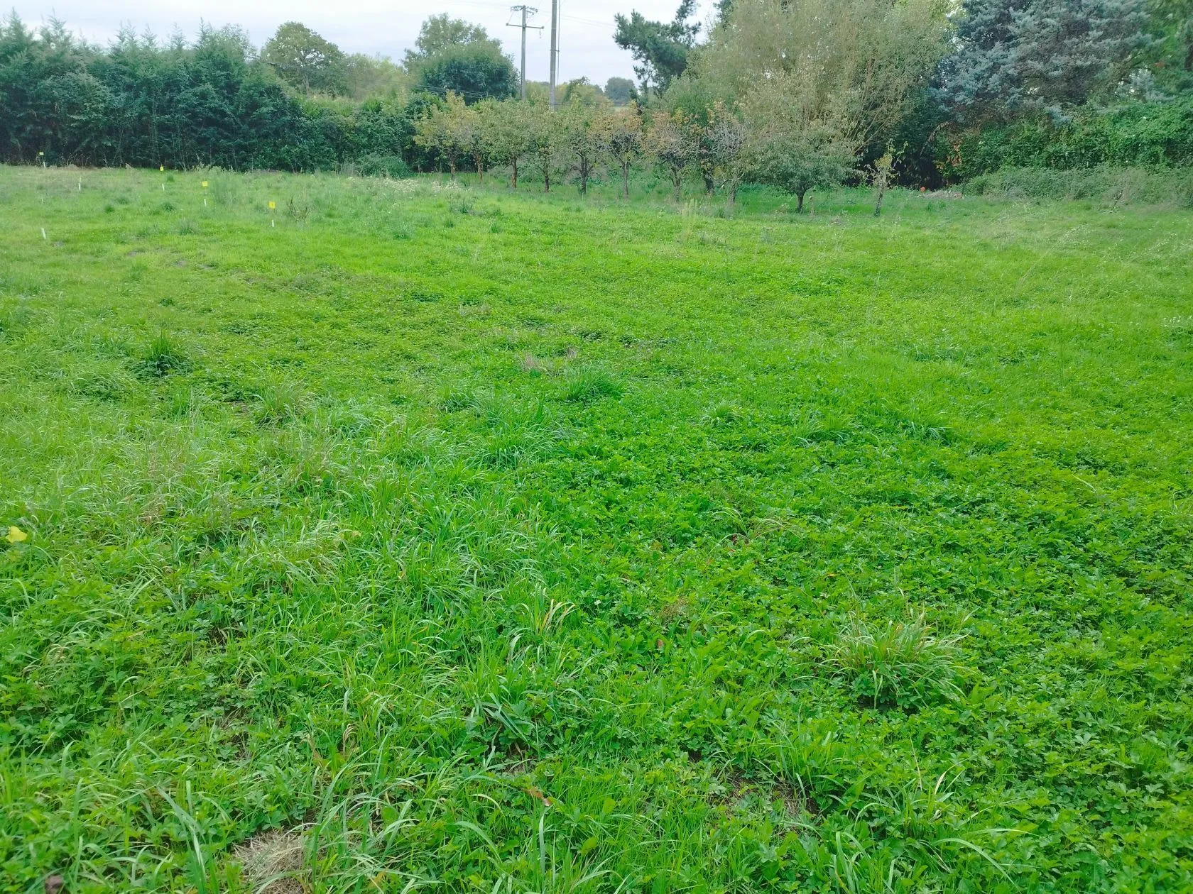 Terrain à bâtir 543 m² à La Meignanne (49770)