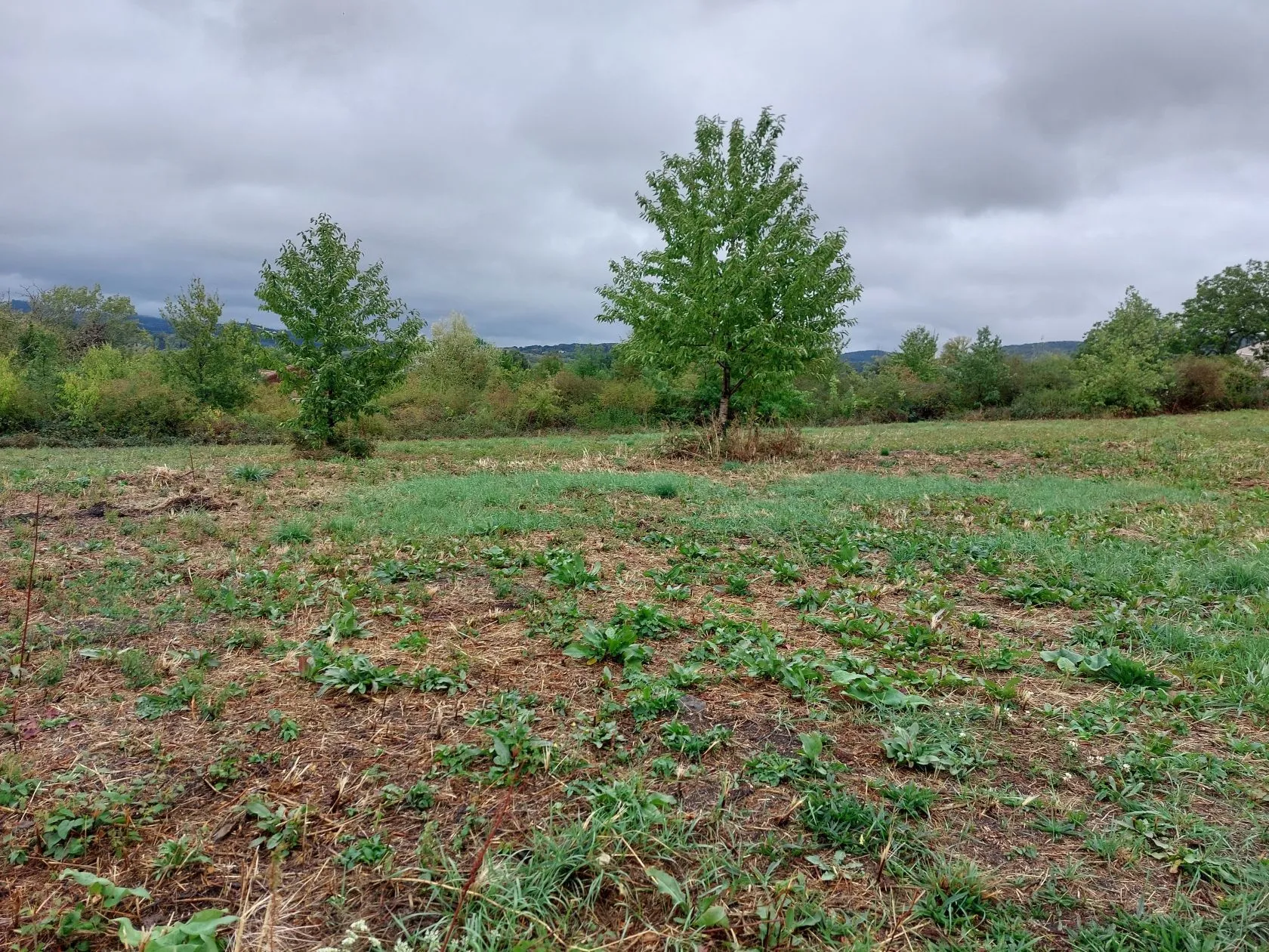 Terrain à bâtir 673 m² à Saint-Julien-de-Coppel (63160)
