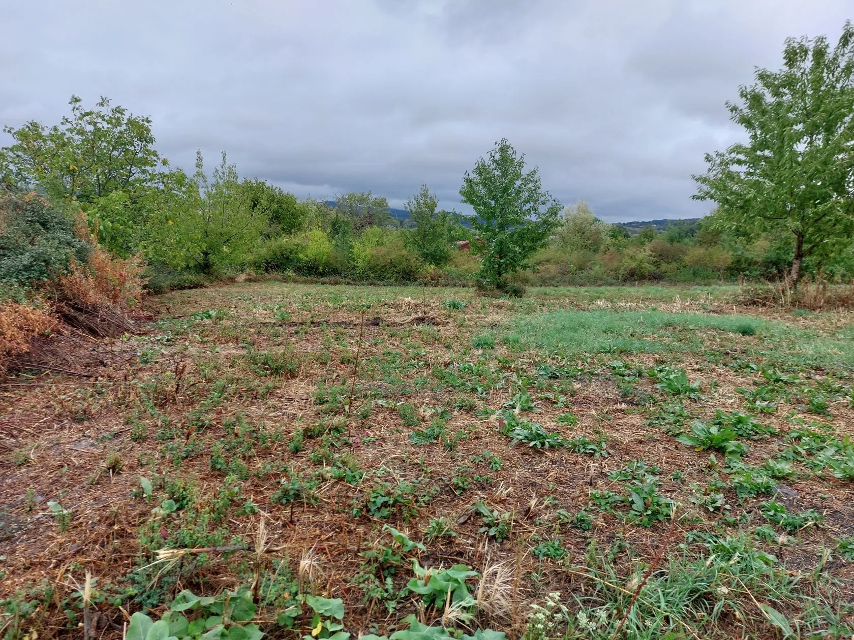 Terrain à bâtir 673 m² à Saint-Julien-de-Coppel (63160)