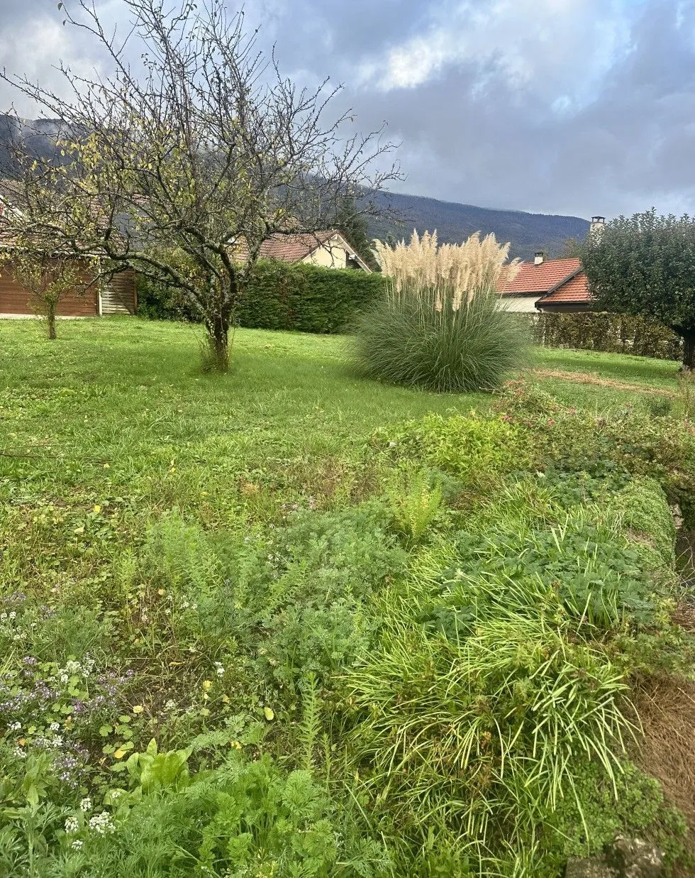 Maison neuve 79 m² à Boissy-le-Châtel (77169)