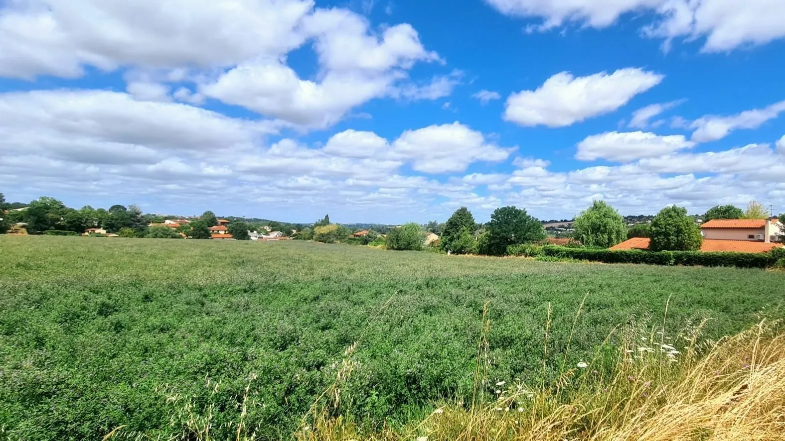 Terrain à bâtir 800 m² à Auzielle (31650)