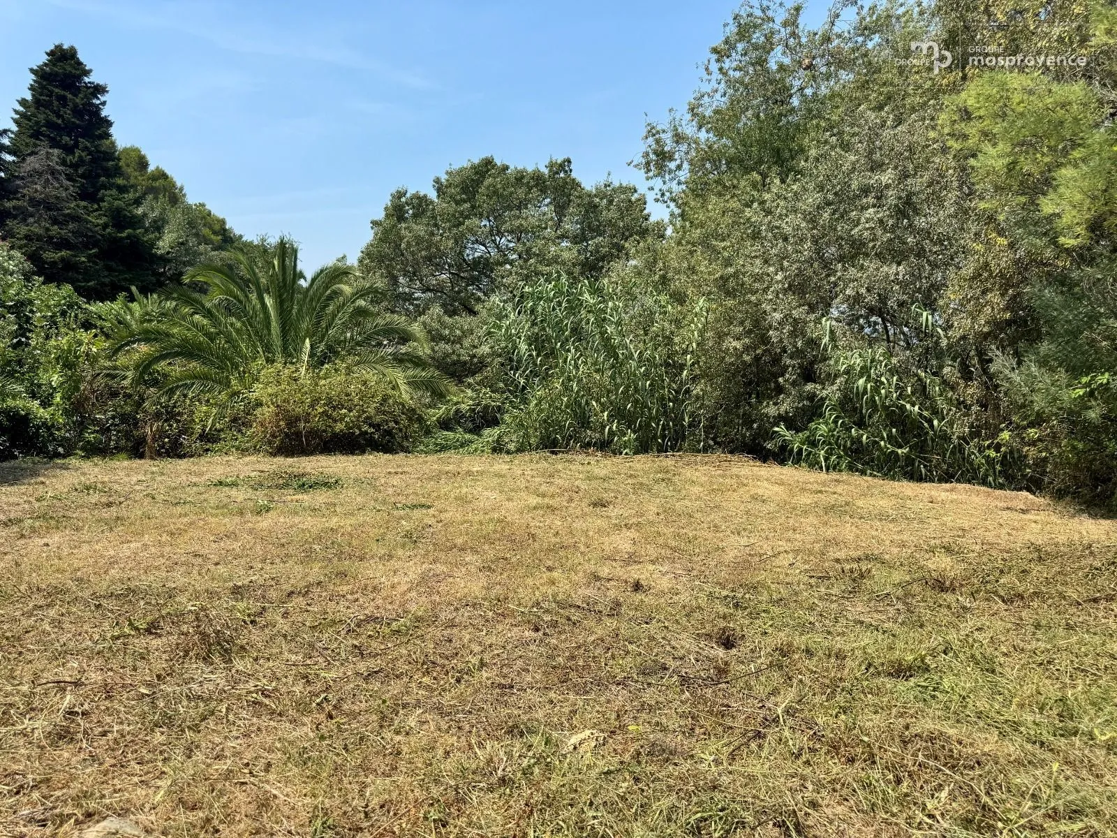 Terrain à bâtir 735 m² à La Roquette-sur-Siagne (06550)