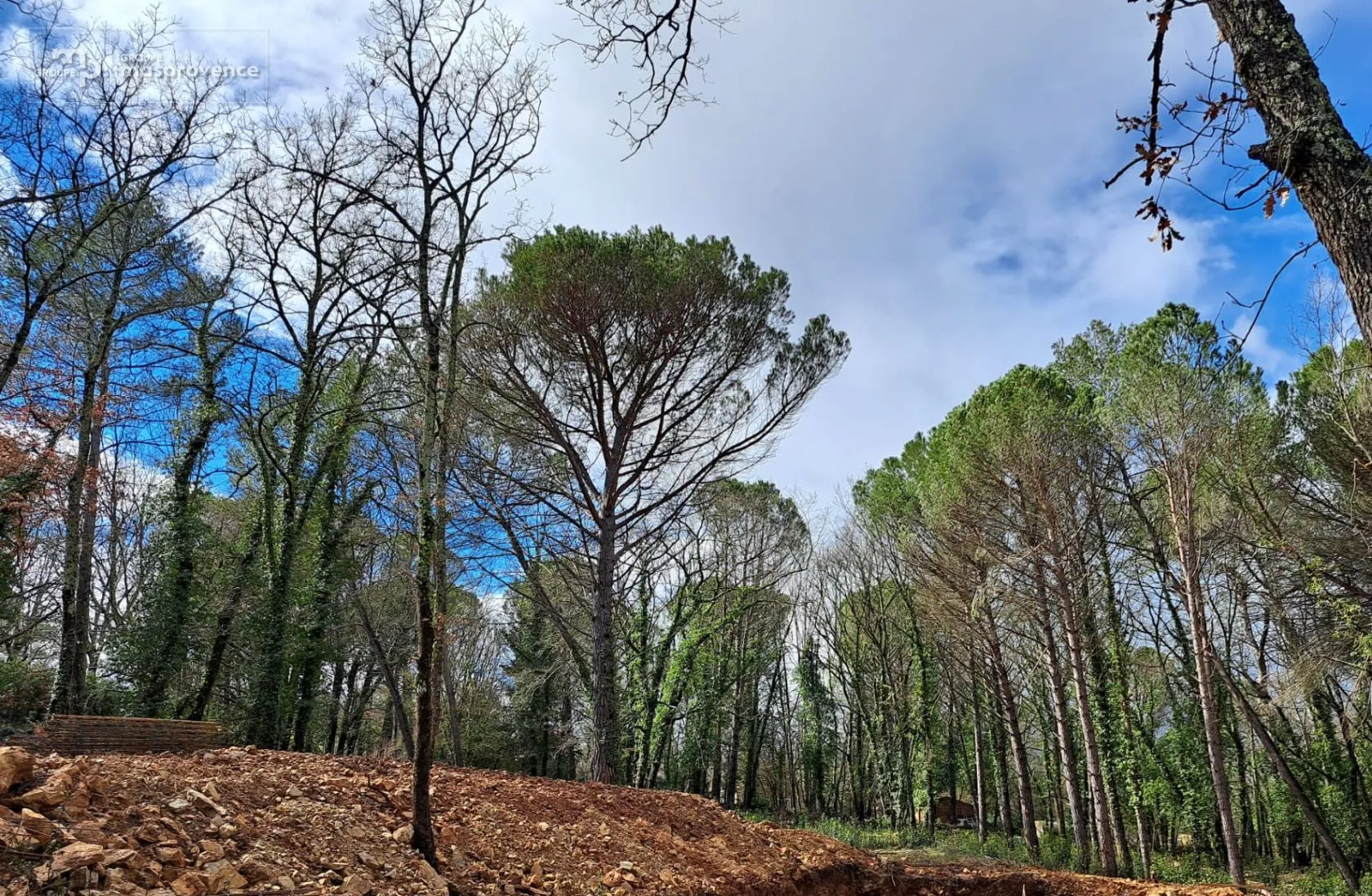Terrain à bâtir 2256 m² à Tourrettes (83440)